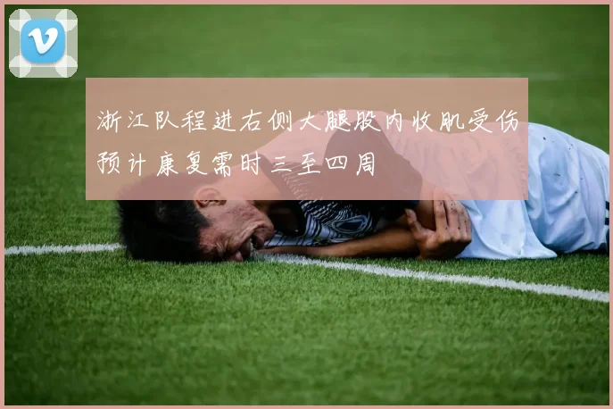 浙江队程进右侧大腿股内收肌受伤预计康复需时三至四周