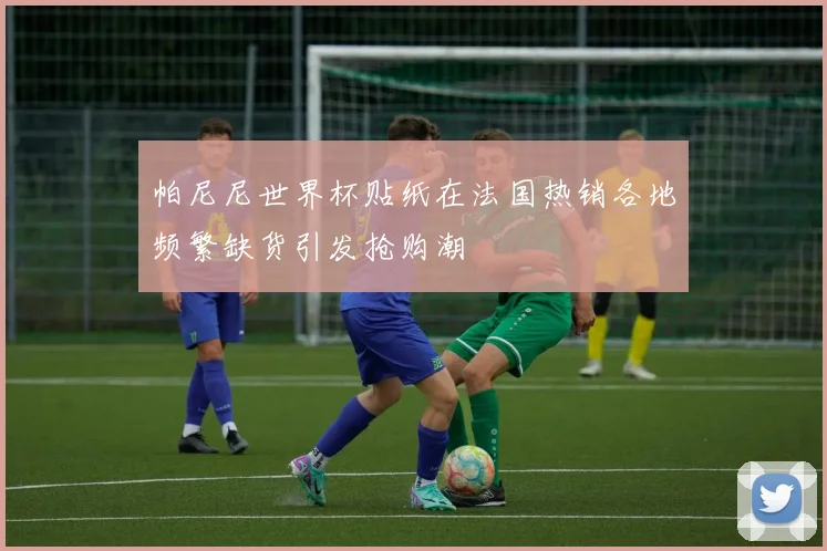 帕尼尼世界杯贴纸在法国热销各地频繁缺货引发抢购潮