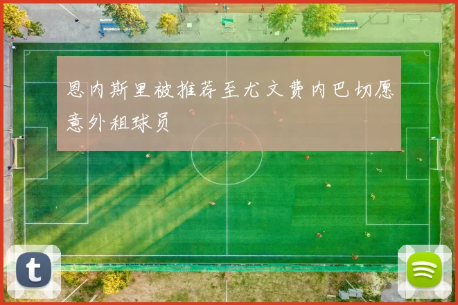 恩内斯里被推荐至尤文费内巴切愿意外租球员