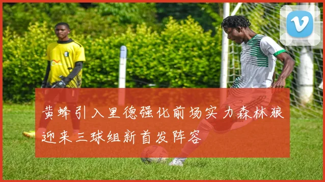 黄蜂引入里德强化前场实力森林狼迎来三球组新首发阵容